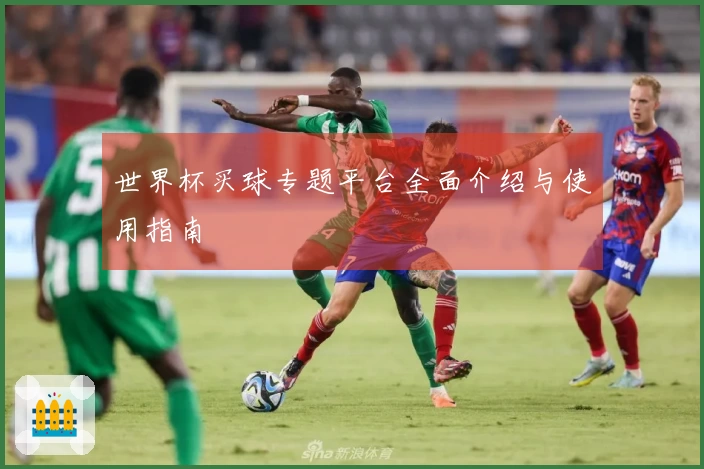 世界杯买球专题平台全面介绍与使用指南