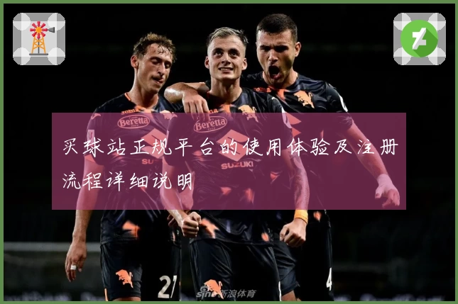 买球站正规平台的使用体验及注册流程详细说明