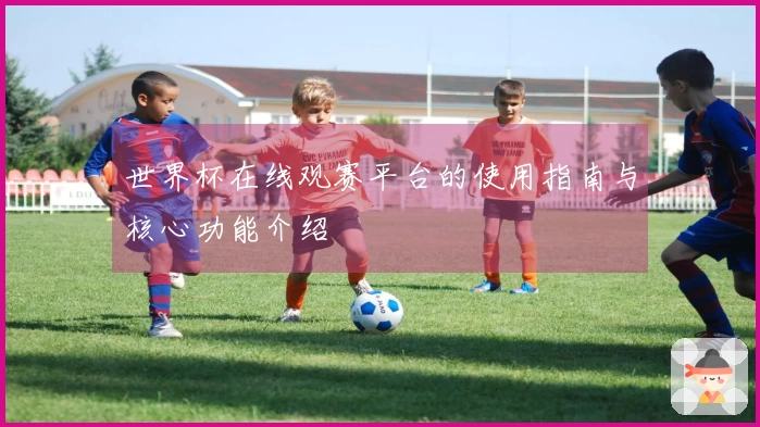 世界杯在线观赛平台的使用指南与核心功能介绍