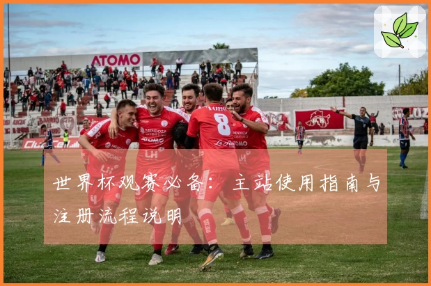 世界杯观赛必备:主站使用指南与注册流程说明