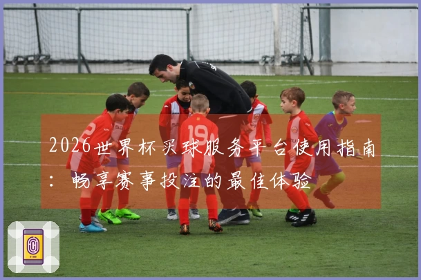 2026世界杯买球服务平台使用指南：畅享赛事投注的最佳体验