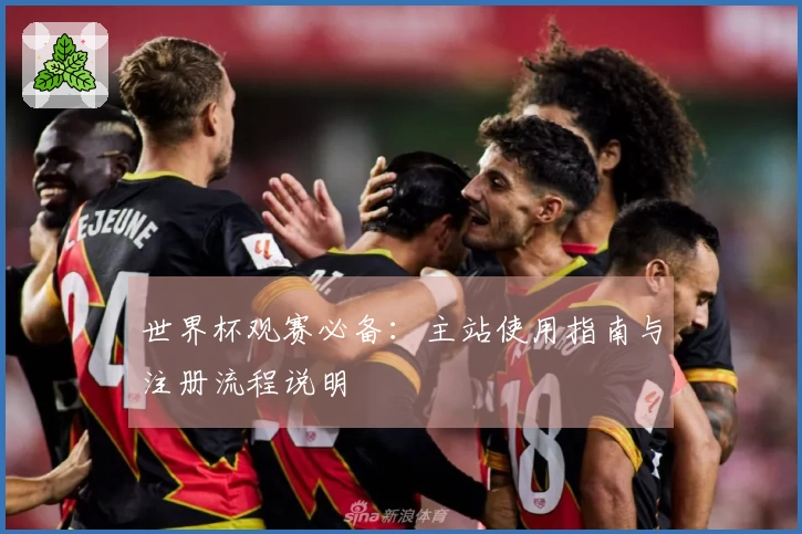 世界杯观赛必备：主站使用指南与注册流程说明