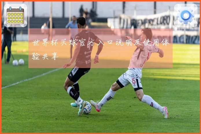 世界杯买球官方入口说明及使用体验共享