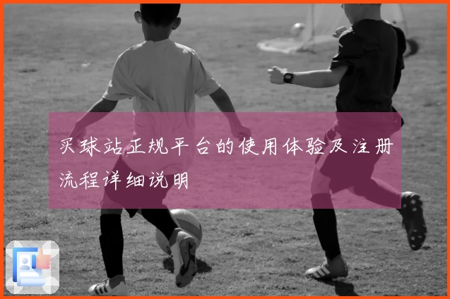 买球站正规平台的使用体验及注册流程详细说明