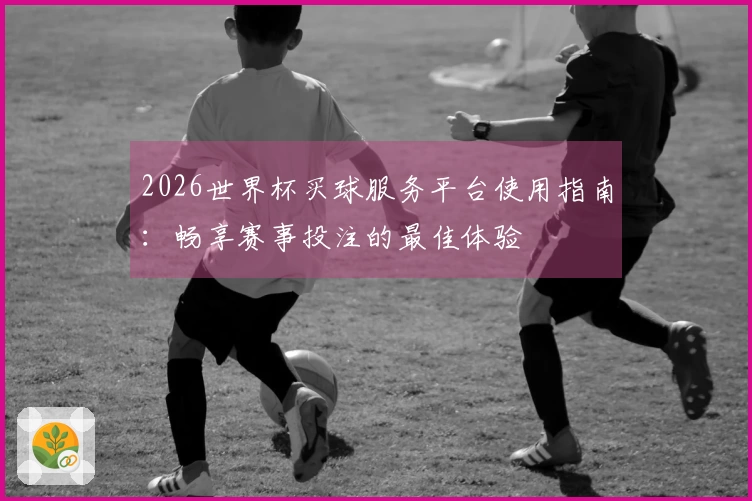 2026世界杯买球服务平台使用指南:畅享赛事投注的最佳体验