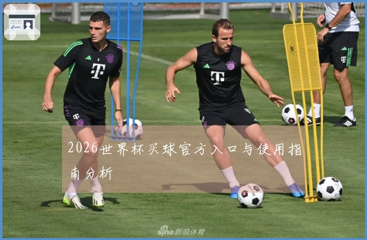2026世界杯买球官方入口与使用指南分析